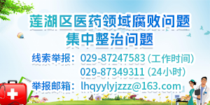 蓮湖區醫藥領域腐敗問題集中整治問題 
